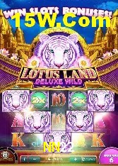 Login Seguro NN22